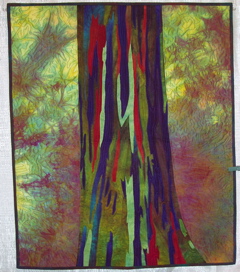 B 04 A Linda Cassirer - Rainbow Eucalyptus